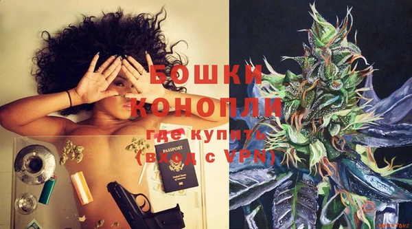 индика Беломорск