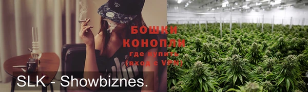 индика Беломорск