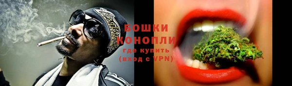 индика Беломорск