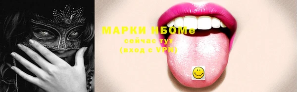 индика Беломорск