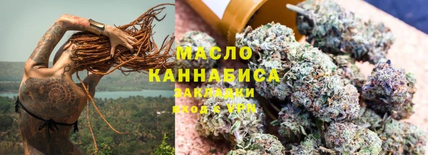 индика Беломорск