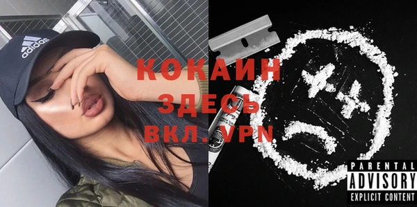 индика Беломорск