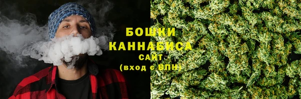 индика Беломорск